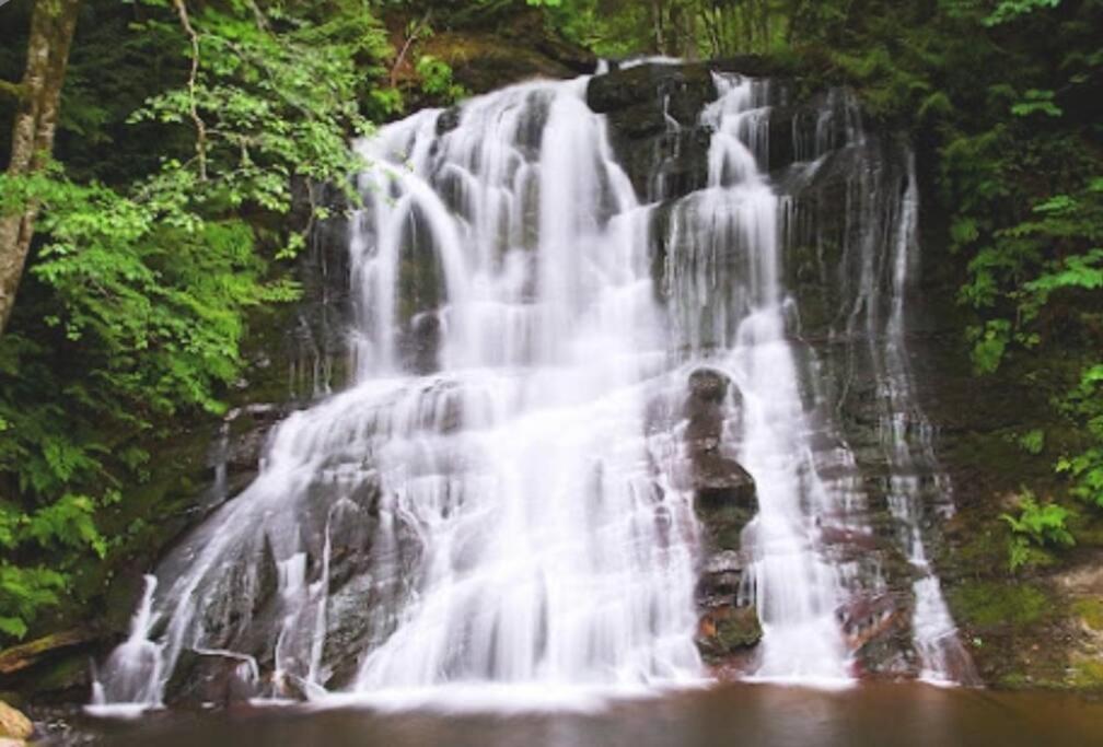 Вілла Nature Lovers' Paradise Нанаймо Екстер'єр фото