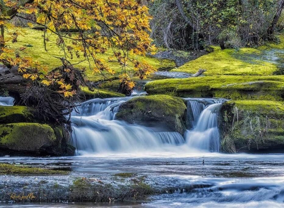 Вілла Nature Lovers' Paradise Нанаймо Екстер'єр фото